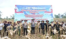 Peresmian 10 Gudang Polri, 166 SPPG di 18 Polda, dan Panen Raya Jagung Serentak Kuartal II Tahun 2026 Digelar di Manokwari