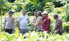 Wakapolda Papua Barat dan Kepala BRMP Optimalkan Pengembangan Benih Jagung untuk Ketahanan Pangan Papua Barat